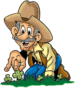 cowboy picking clover